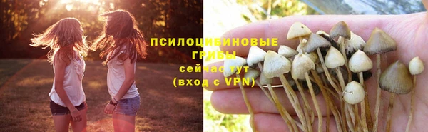 Альфа ПВП Алексеевка