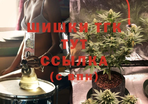 PSILOCYBIN Заволжье