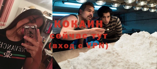 spice Алексин