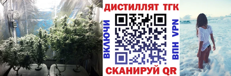 ТГК гашишное масло  наркотики  Мичуринск 