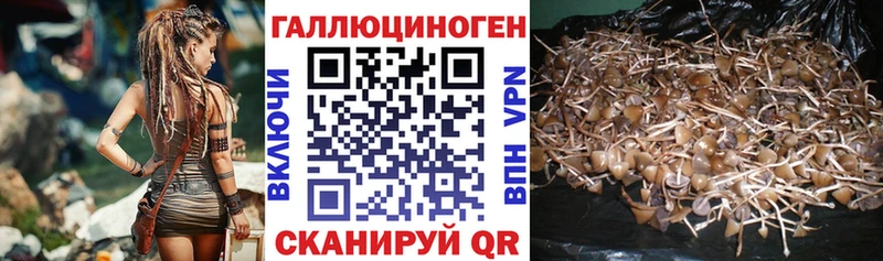 Галлюциногенные грибы Magic Shrooms  цены наркотик  Мичуринск 
